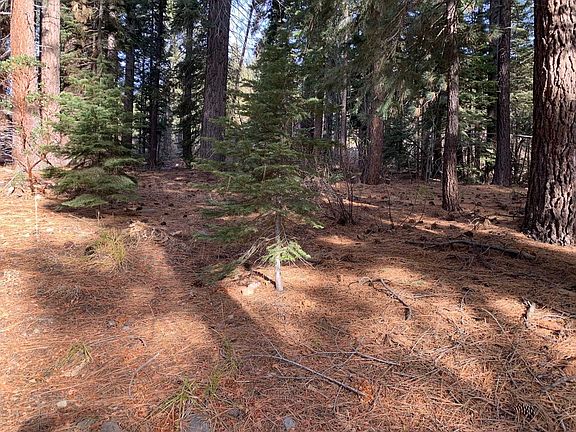 3rd image of 13310 Sierra Dr W