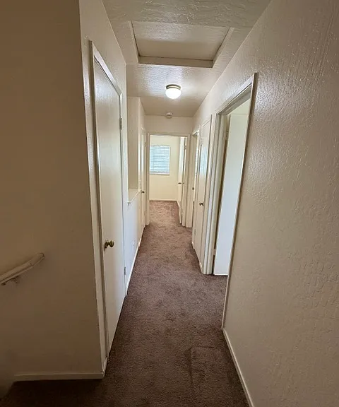 220C Silver Leaf Dr — Photo 6