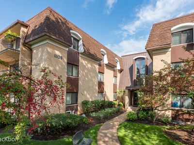 1105 N Mill St APT 124, Naperville, IL, 60563