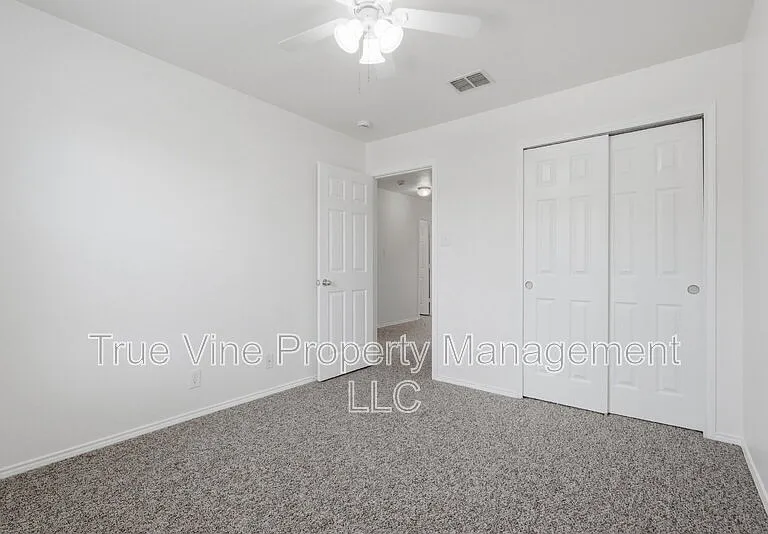 136 Texas Mulberry — Photo 22