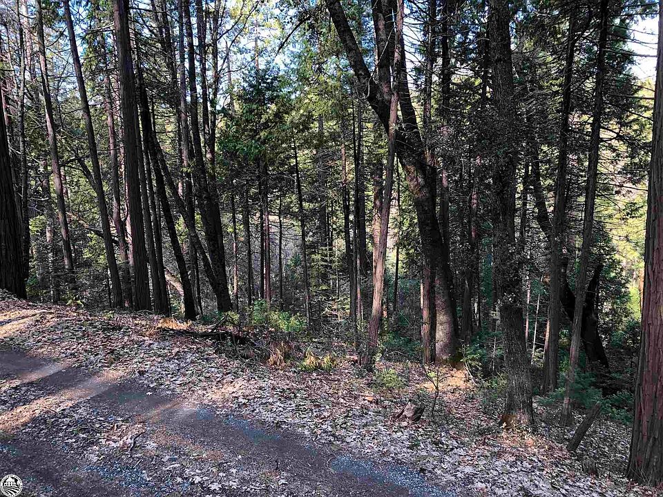 17620 Winterhaven, Twain Harte, CA 95383 MLS 20230153 Zillow