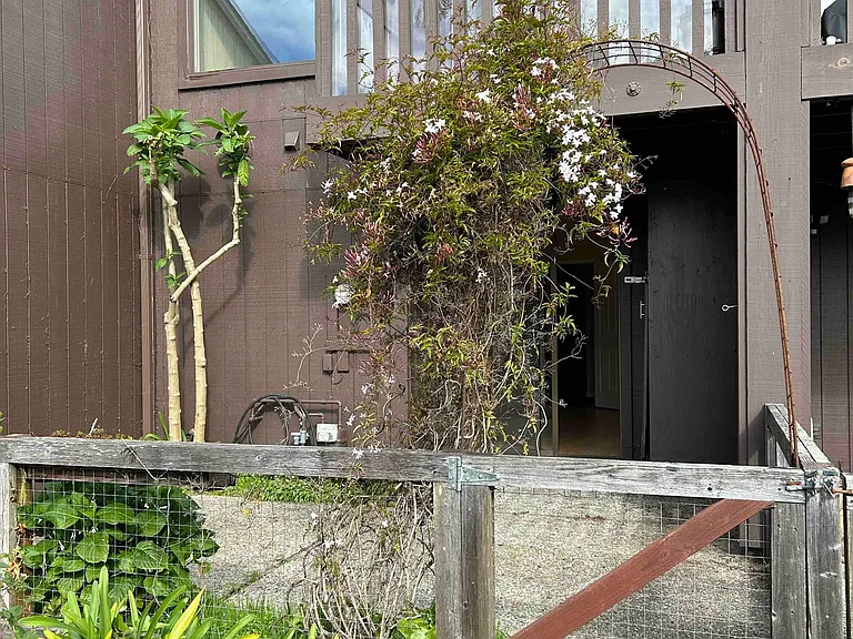 122 Tree Frog Ln — Photo 6