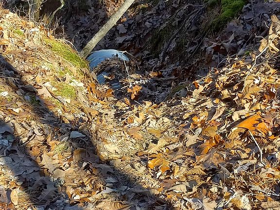 5th image of 7 Deer Creek Dr
