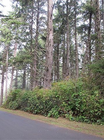 2nd image of 0 Park Ln