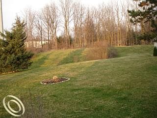 4th image of 31232 Artesian Dr