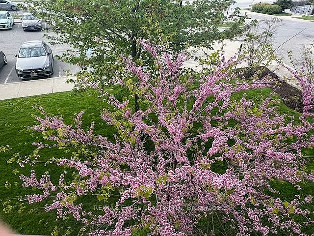 75 Norman Bethune Ave #220 — Photo 5