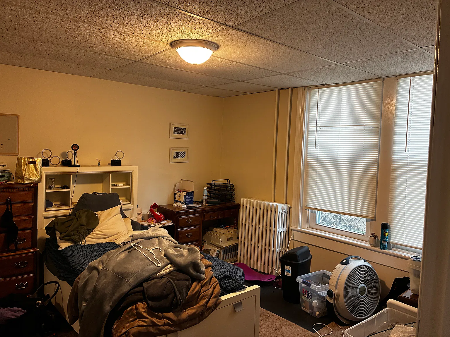 2 bed, 800 sqft, $1,490 — Photo 3