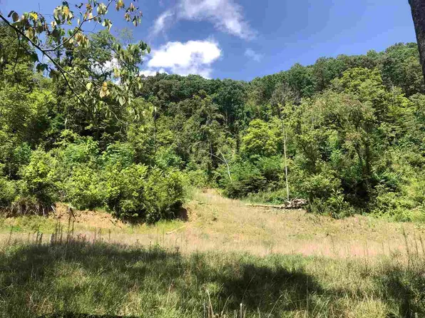 431 Branch Rd, Fall Branch, TN 37656