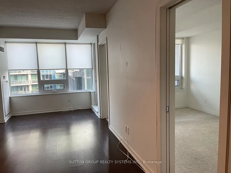59 E Liberty St #1102 — Photo 9