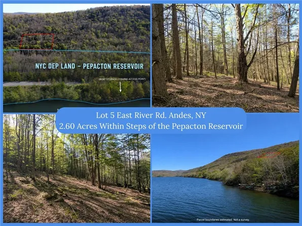 5 E River Rd Lot 5, Roscoe, NY 12776