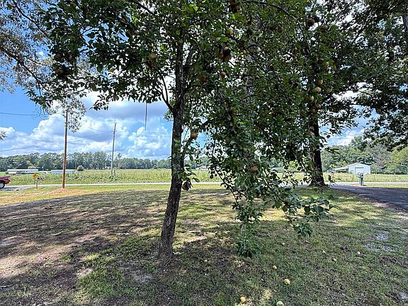 4th image of 1291 Liberty Rd