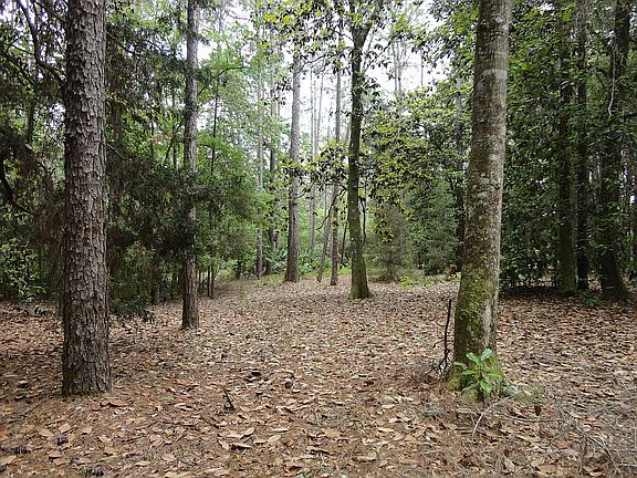 4th image of 16675 County Road 9
