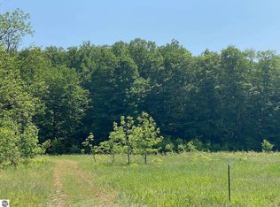 Edwin Blvd, Grawn, MI 49637