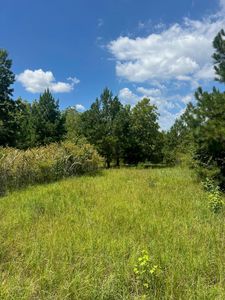 0 Thomson Highway, Warrenton, GA, 30828