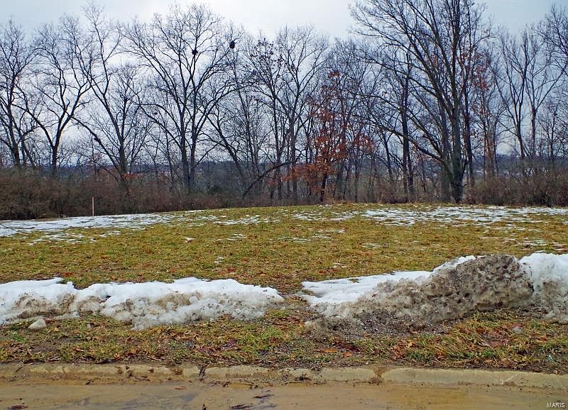 1st image of 546 Oak Bluff Ct
