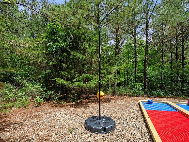 474 Bear Pine Trl #ID1533743P — Photo 14