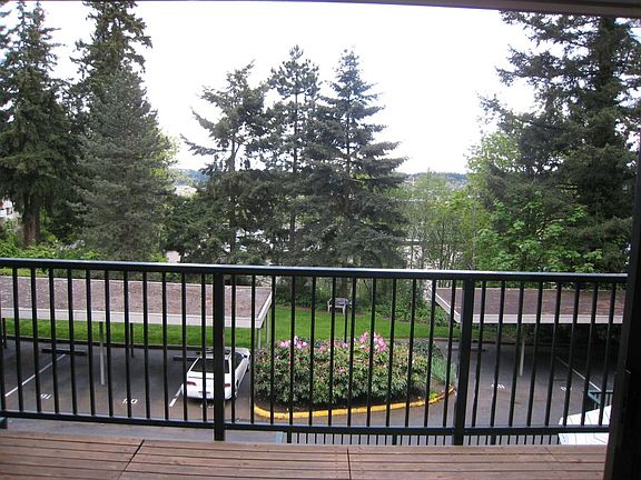Deck View