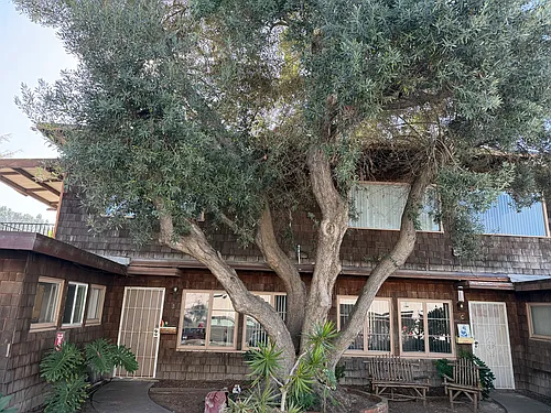 8040 La Jolla Shores Dr #E Photo 1 8040 La Jolla Shores Dr #E Photo 1