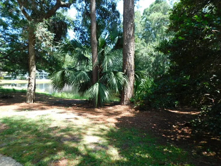 55 Savannah Trl — Photo 24