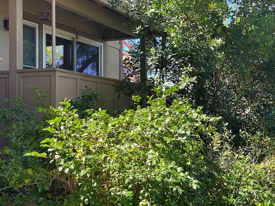 Enjoy serene living in an apartment embraced by lush trees, vibrant flowers, and green bushes_a peaceful retreat where nature's beauty surrounds you every day.
