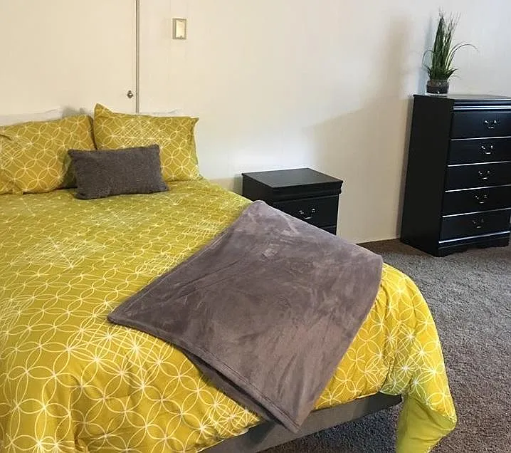 Studio, 265 sqft, $595 — Photo 3