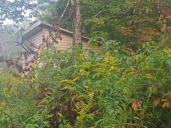 2nd image of 110 Dry Run Rd