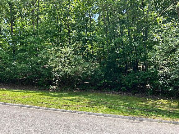 2nd image of 1002 River Hills Dr