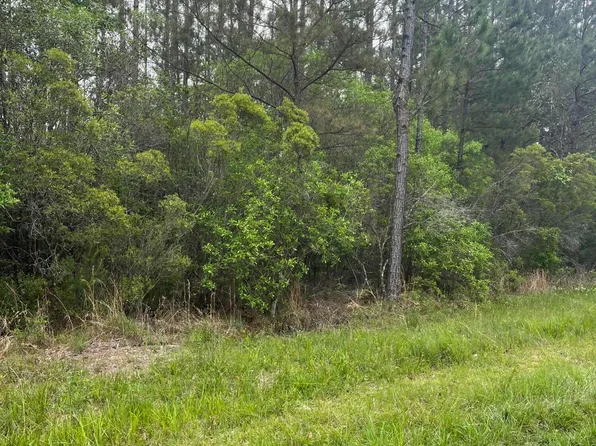 LOT 2 Leetown Rd Lot 2, Picayune, MS 39466