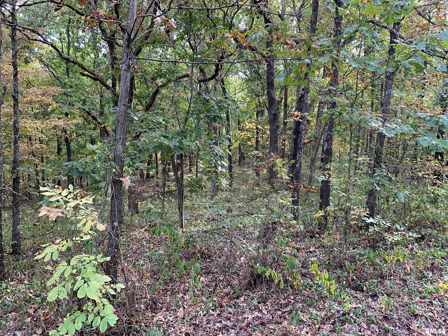 0 E Freeman Rd, Waltonville, IL 62894 Zillow