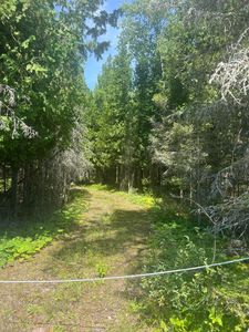 E M 134, Hessel, MI, 49745