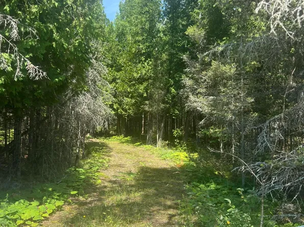 E M 134, Hessel, MI 49745