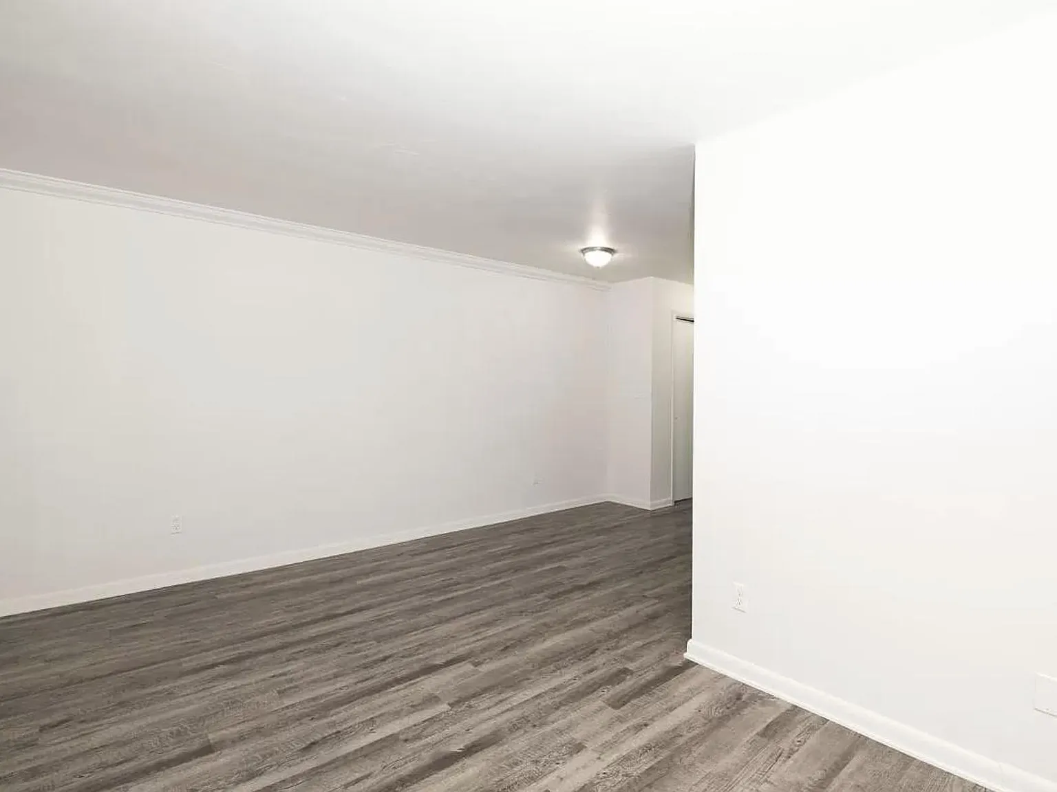 1 bed, 600 sqft, $1,600 — Photo 4