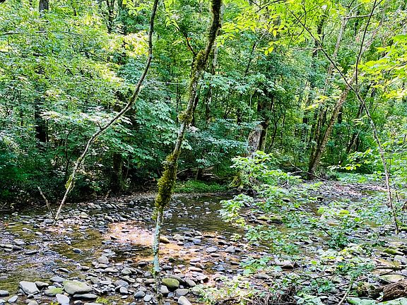 4th image of LOT 3R2 Holders Grove Rd