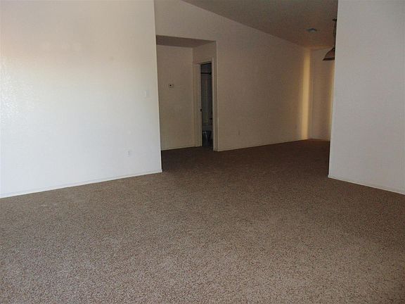 Living Room-New Carpet