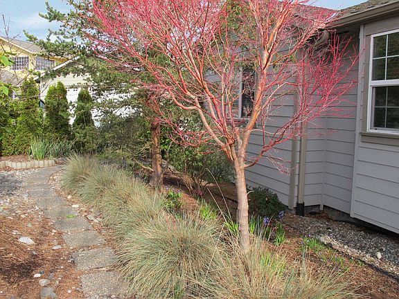 3rd image of 1120 SW Harbor Vista Cir