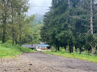 52541 Cats Run Rd, Powhatan Point, OH 43942