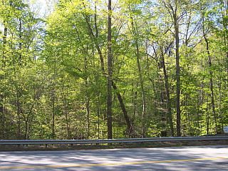 4th image of 0 Memorial Dr