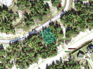 1332 Homosassa Dr #16, Kissimmee, FL 34759