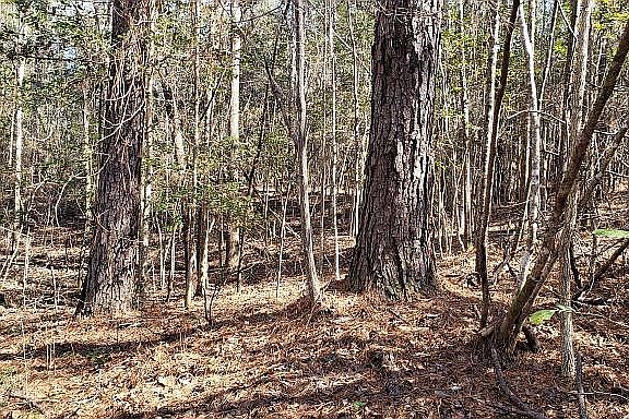 4th image of 376 Old Highway 49 W