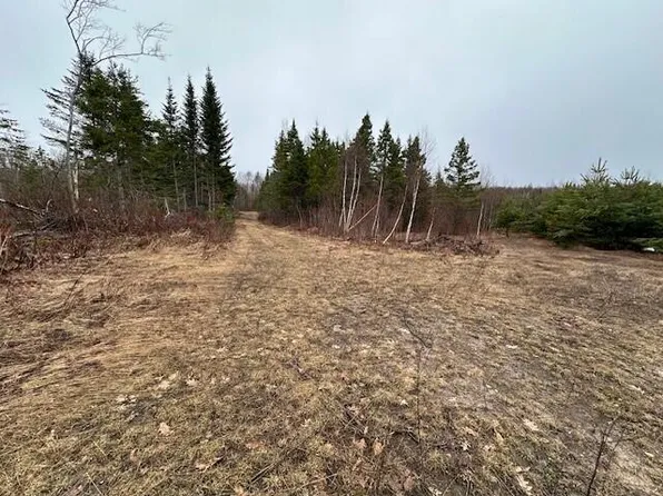 NULL-M/L W Pendills Lake Rd, Brimley, MI 49715