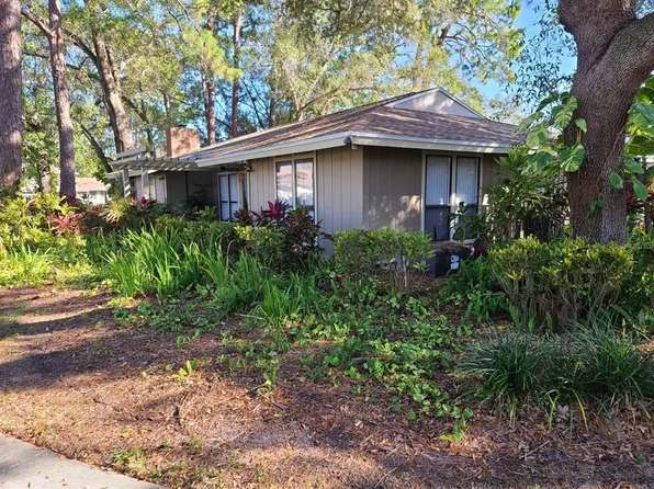 7319 Baja Ct, Tampa, FL 33634