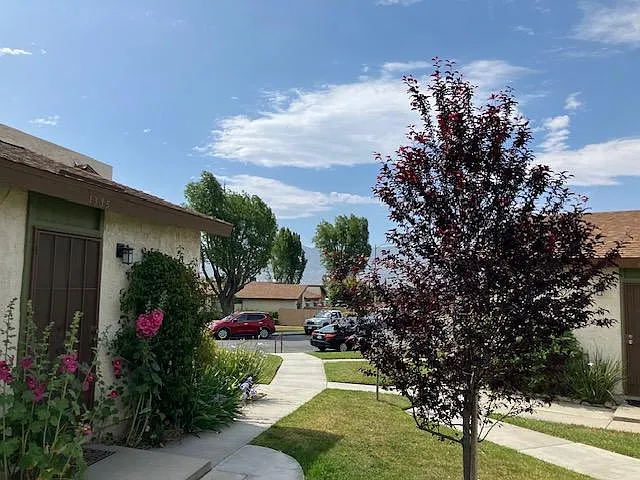 1333 Vista Serena Dr — Photo 5