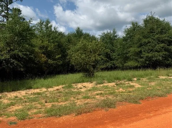 16 Dear Dr, Camden, AL 36726