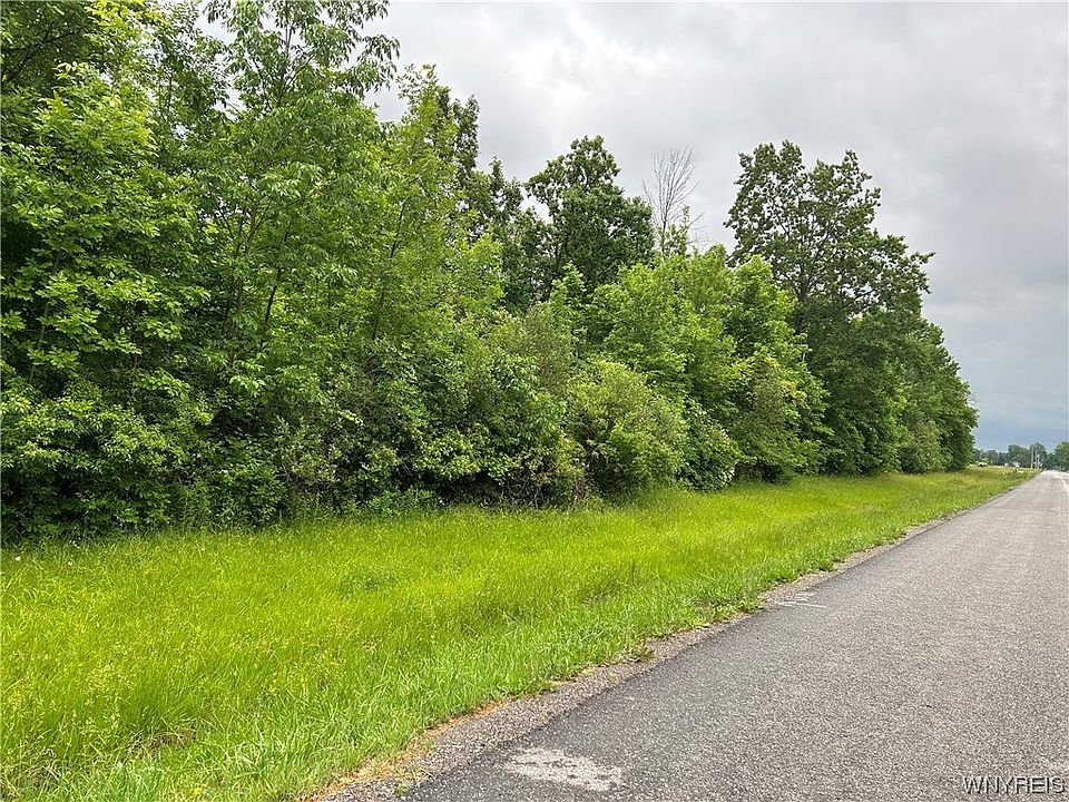 2nd image of McClew Rd