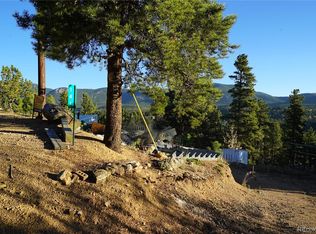 141 Wise Rd, Bailey, CO 80421