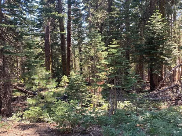 1316 Cleghorn Dr, Bucks Lake, CA 95971