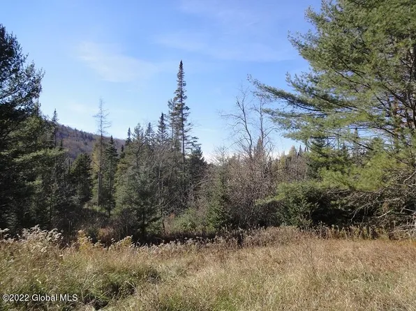 0 Rt.. 28N, Minerva, NY 12851