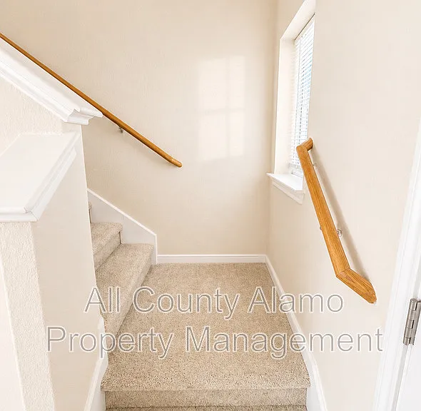 4919 Celtic Cor — Photo 11