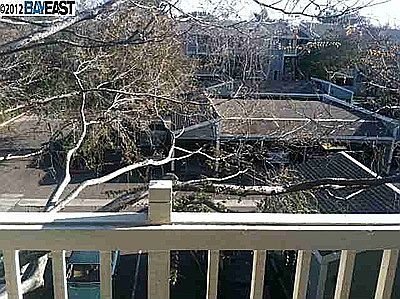 2nd image of 3443 Pepperwood Ter APT 304