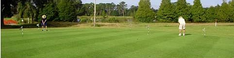 2nd image of 603 Portulaca Dr
